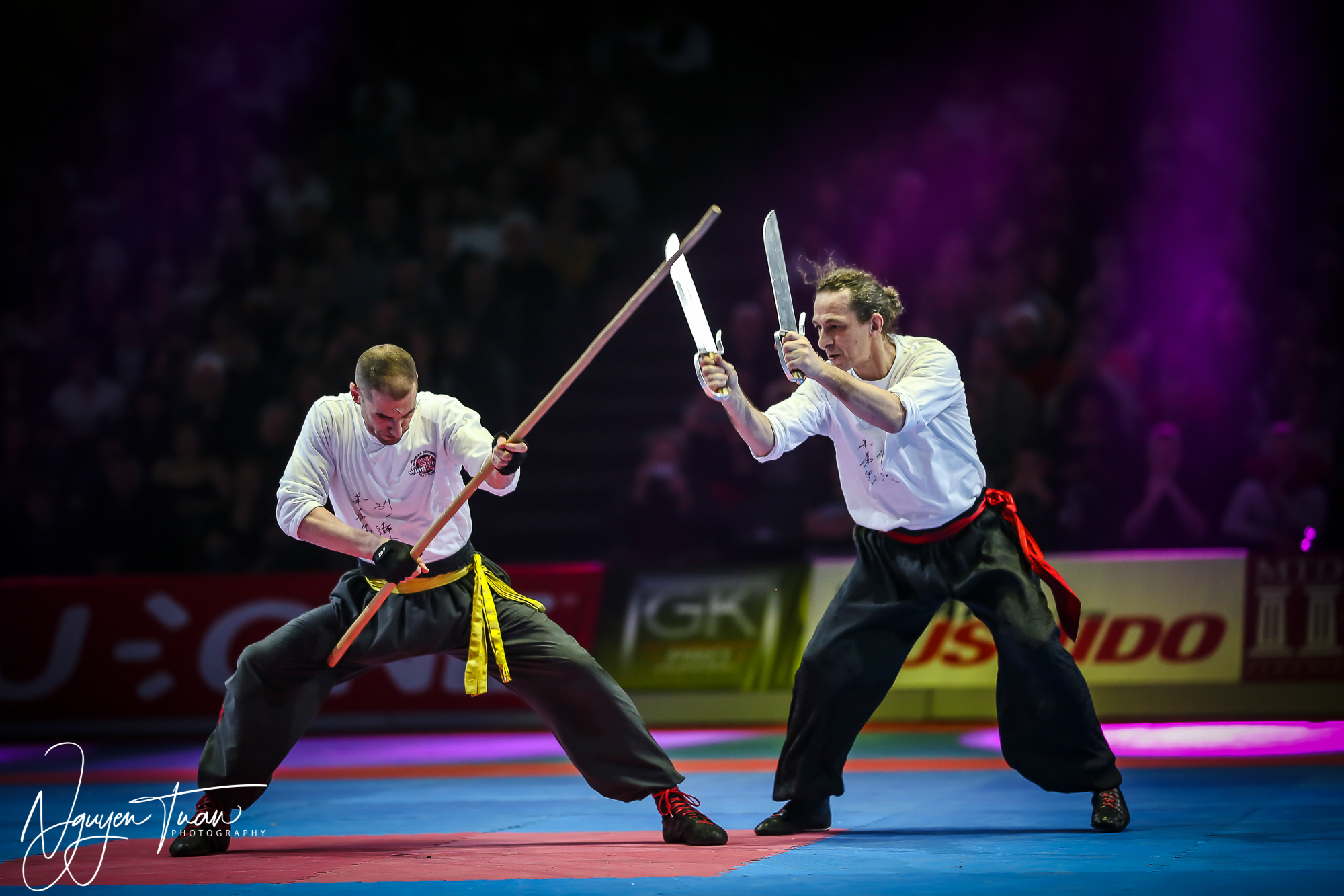 20190324 Festival des Arts Martiaux 3940